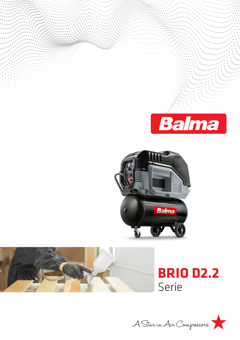 02 – Catalogo BALMA Vite BRIO D 2.2