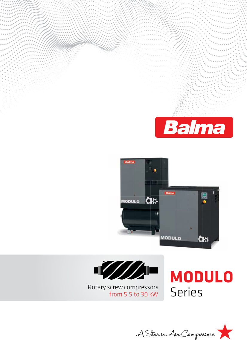 05 – Catalogo BALMA Vite MODULO 5.5-30
