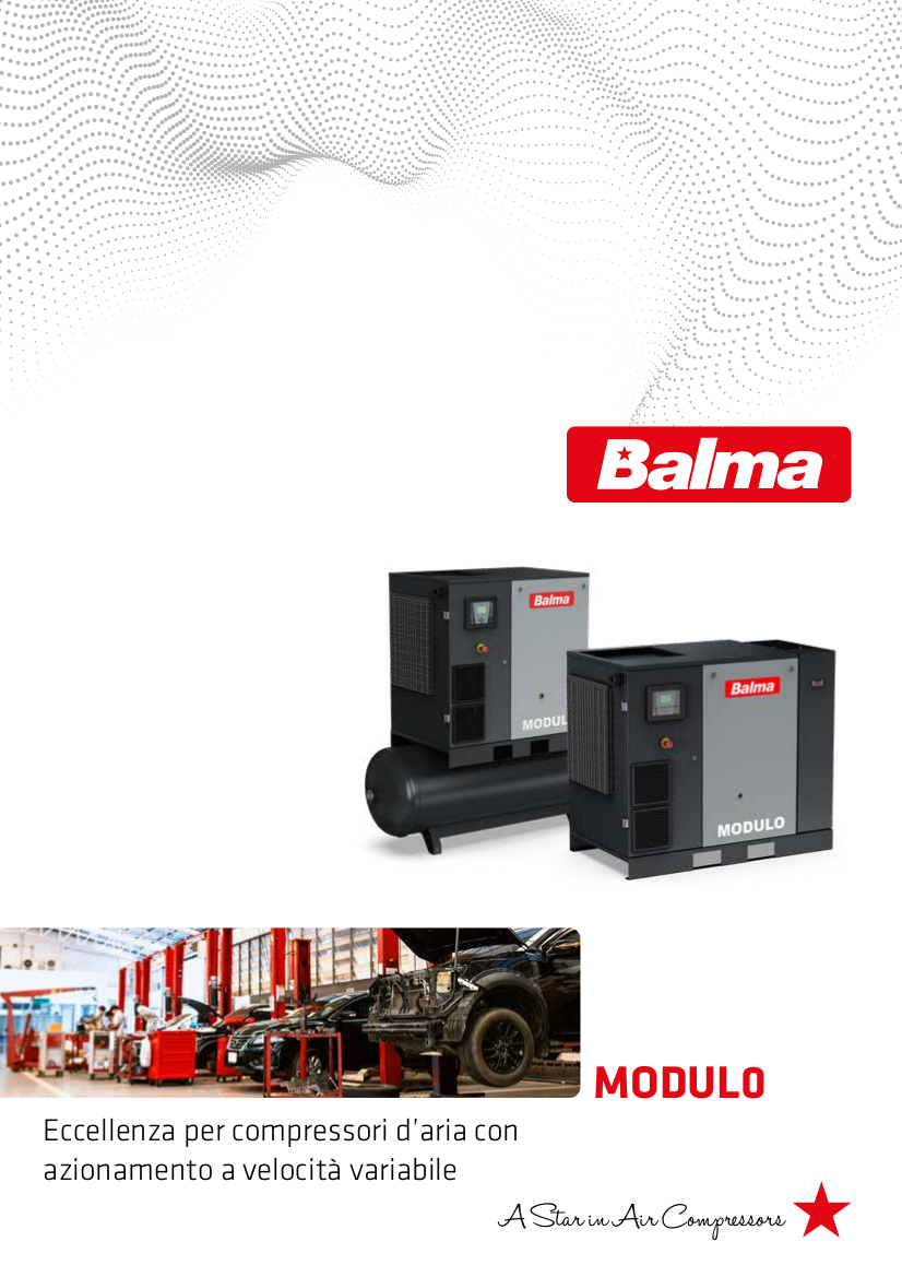 07 – Catalogo BALMA Vite MODULO VSD