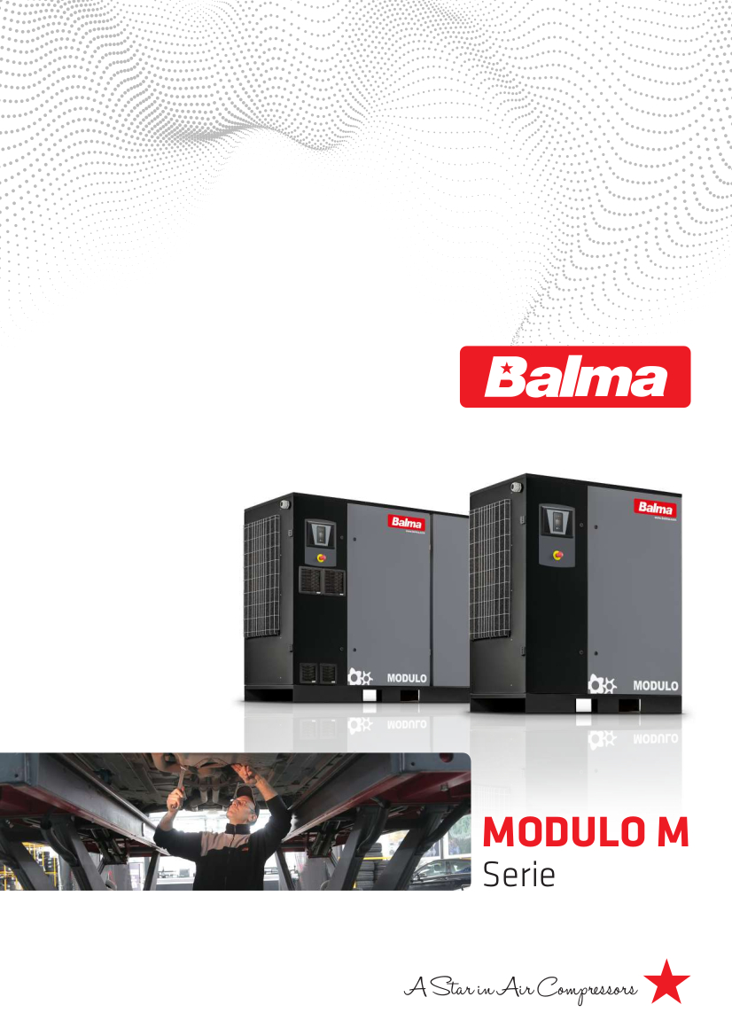 06 – Catalogo BALMA Vite MODULO M