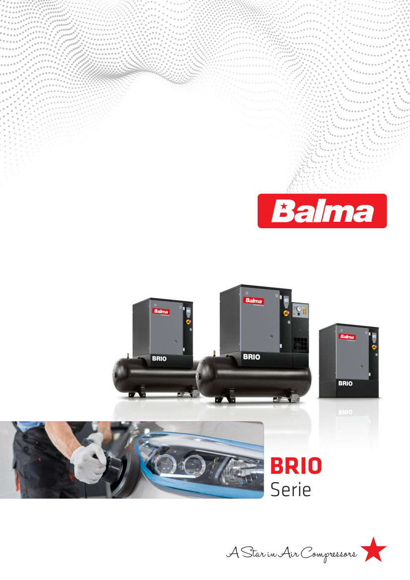 03 – Catalogo BALMA Vite BRIO 2.2-7.5